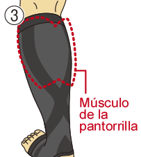 Paso 3 - MEDIAS DE COMPRESIÓN